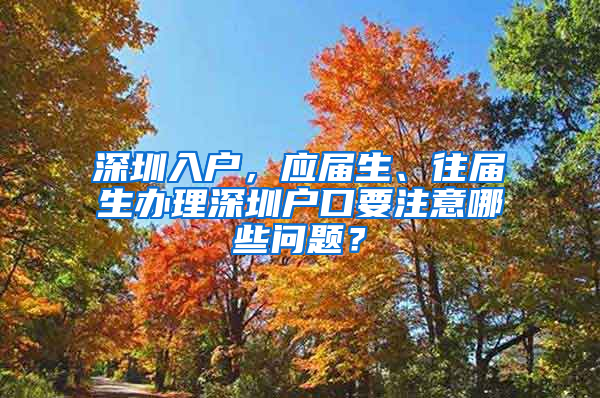 深圳入戶，應(yīng)屆生、往屆生辦理深圳戶口要注意哪些問題？