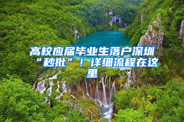 高校應(yīng)屆畢業(yè)生落戶深圳“秒批”！詳細(xì)流程在這里