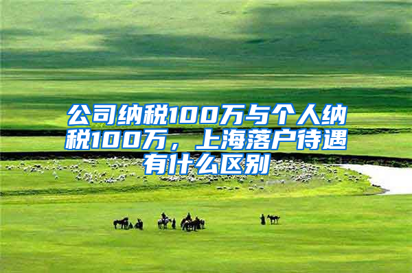 公司納稅100萬與個(gè)人納稅100萬，上海落戶待遇有什么區(qū)別