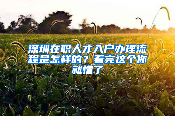 深圳在職人才入戶辦理流程是怎樣的？看完這個(gè)你就懂了