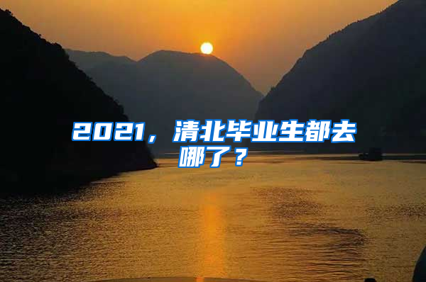 2021，清北畢業(yè)生都去哪了？