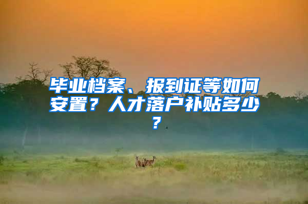 畢業(yè)檔案、報(bào)到證等如何安置？人才落戶補(bǔ)貼多少？