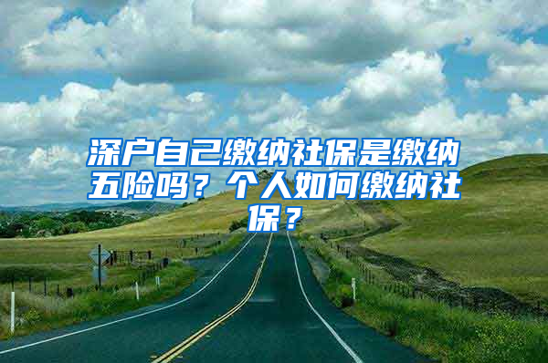 深戶(hù)自己繳納社保是繳納五險(xiǎn)嗎？個(gè)人如何繳納社保？