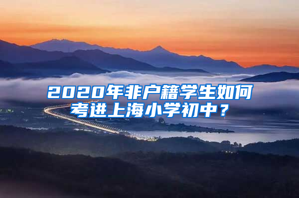 2020年非戶籍學(xué)生如何考進(jìn)上海小學(xué)初中？