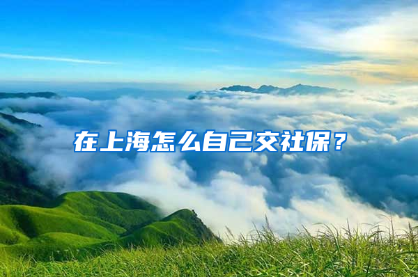 在上海怎么自己交社保？