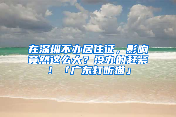 在深圳不辦居住證，影響竟然這么大？沒(méi)辦的趕緊！「廣東打聽貓」