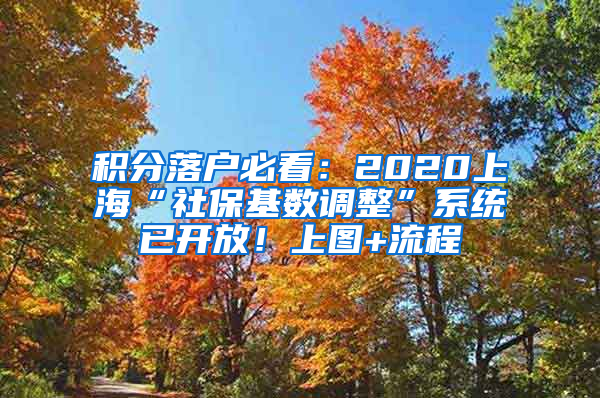 積分落戶必看：2020上?！吧绫；鶖?shù)調(diào)整”系統(tǒng)已開放！上圖+流程