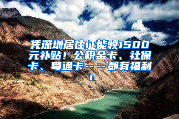 憑深圳居住證能領(lǐng)1500元補(bǔ)貼！公積金卡、社?？?、粵通卡……都有福利！