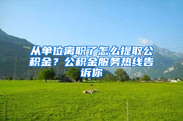 從單位離職了怎么提取公積金？公積金服務(wù)熱線告訴你