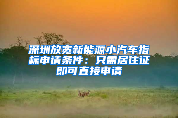 深圳放寬新能源小汽車指標(biāo)申請條件：只需居住證即可直接申請