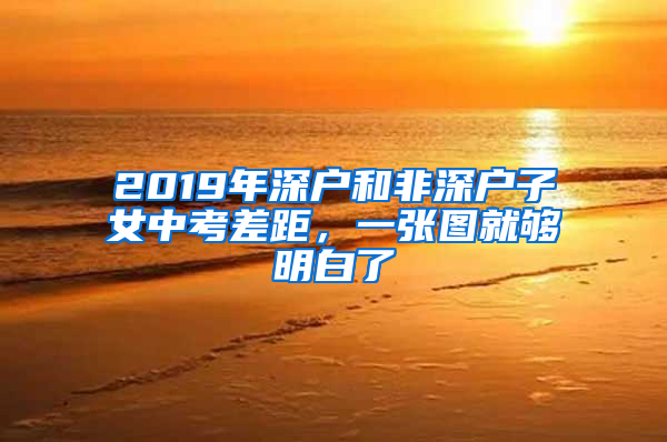 2019年深戶和非深戶子女中考差距，一張圖就夠明白了