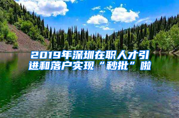 2019年深圳在職人才引進(jìn)和落戶實現(xiàn)“秒批”啦