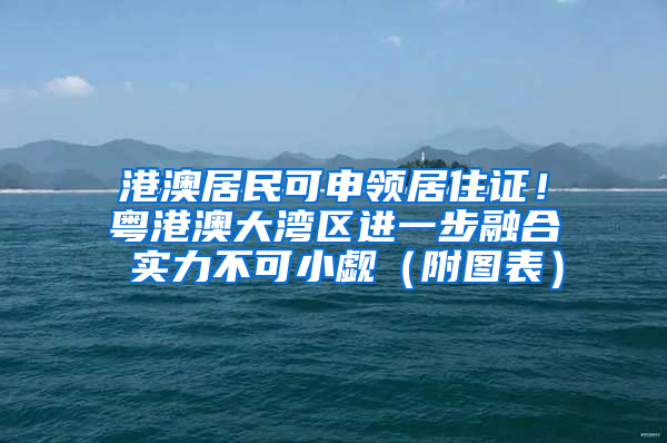 港澳居民可申領(lǐng)居住證！粵港澳大灣區(qū)進(jìn)一步融合 實(shí)力不可小覷（附圖表）