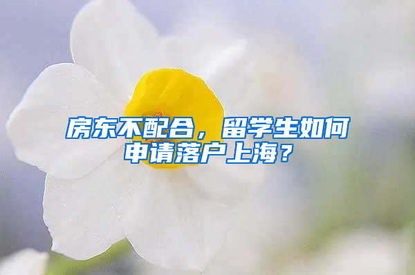 房東不配合，留學(xué)生如何申請落戶上海？