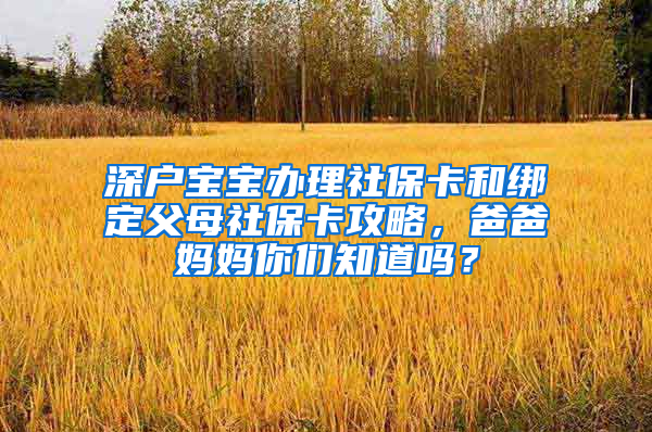 深戶寶寶辦理社?？ê徒壎ǜ改干绫？üヂ裕职謰寢屇銈冎绬?？