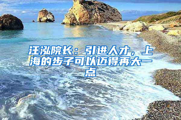 汪泓院長：引進(jìn)人才，上海的步子可以邁得再大一點(diǎn)