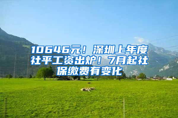 10646元！深圳上年度社平工資出爐！7月起社保繳費有變化