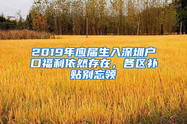 2019年應(yīng)屆生入深圳戶口福利依然存在，各區(qū)補(bǔ)貼別忘領(lǐng)