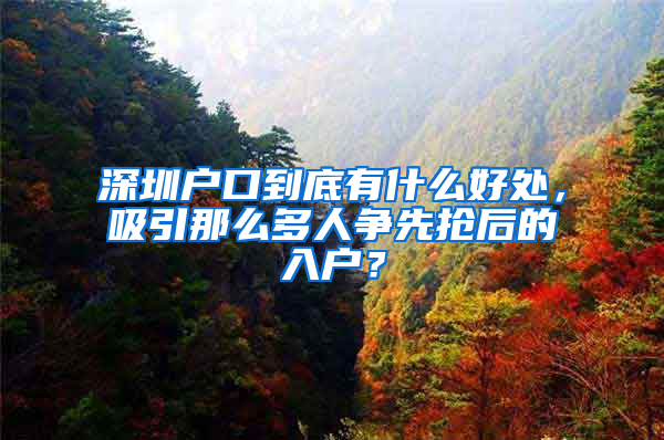 深圳戶口到底有什么好處，吸引那么多人爭先搶后的入戶？