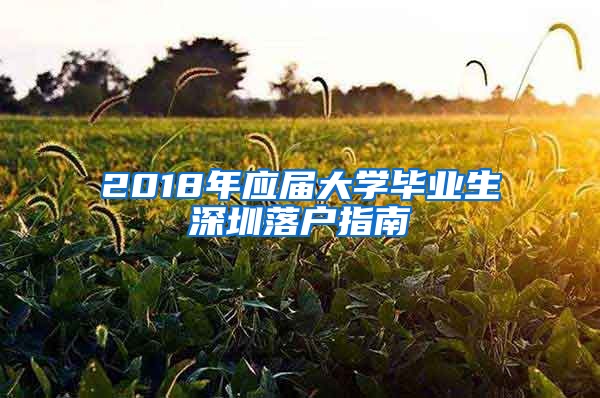 2018年應(yīng)屆大學(xué)畢業(yè)生深圳落戶指南