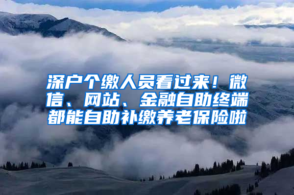 深戶個繳人員看過來！微信、網(wǎng)站、金融自助終端都能自助補繳養(yǎng)老保險啦