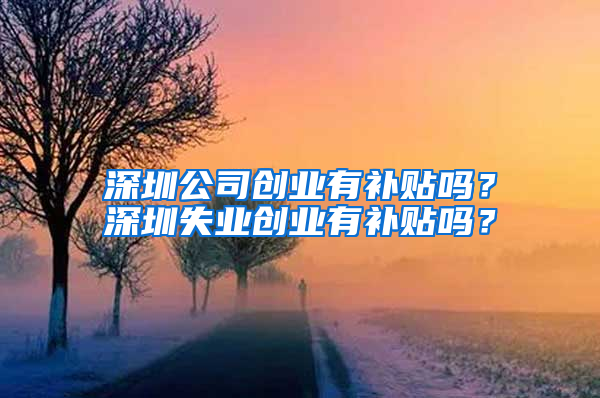 深圳公司創(chuàng)業(yè)有補貼嗎？深圳失業(yè)創(chuàng)業(yè)有補貼嗎？