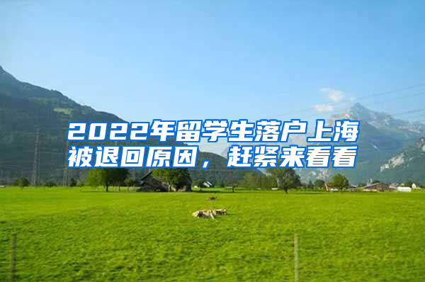 2022年留學生落戶上海被退回原因，趕緊來看看