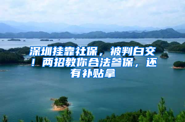 深圳掛靠社保，被判白交！兩招教你合法參保，還有補(bǔ)貼拿