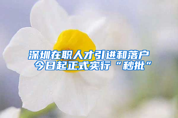 深圳在職人才引進(jìn)和落戶 今日起正式實行“秒批”