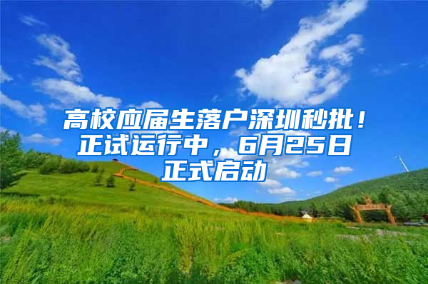 高校應屆生落戶深圳秒批！正試運行中，6月25日正式啟動