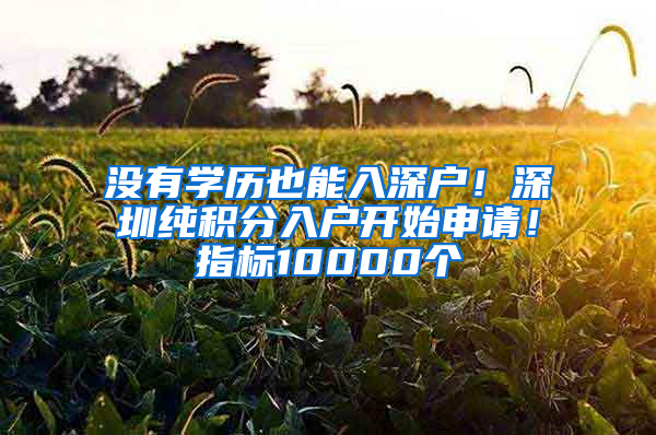 沒有學(xué)歷也能入深戶！深圳純積分入戶開始申請！指標(biāo)10000個