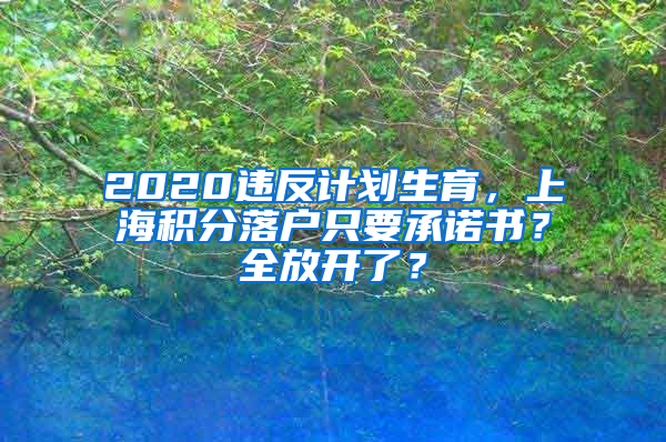 2020違反計(jì)劃生育，上海積分落戶只要承諾書？全放開了？