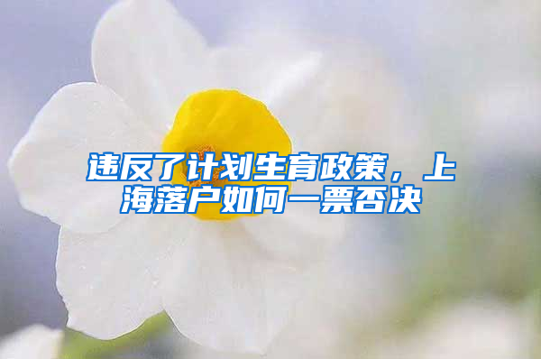 違反了計(jì)劃生育政策，上海落戶如何一票否決