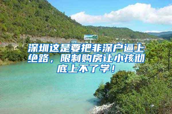 深圳這是要把非深戶逼上絕路，限制購房讓小孩徹底上不了學！