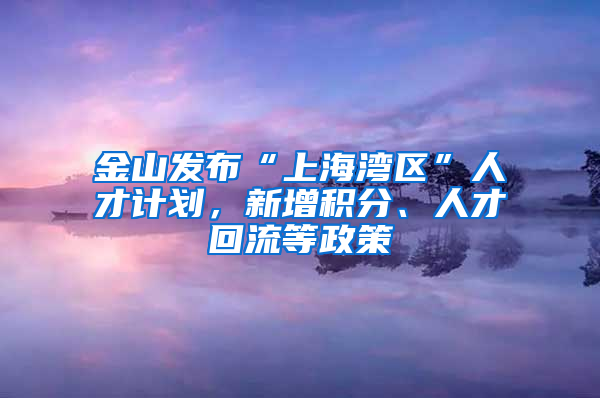 金山發(fā)布“上海灣區(qū)”人才計劃，新增積分、人才回流等政策