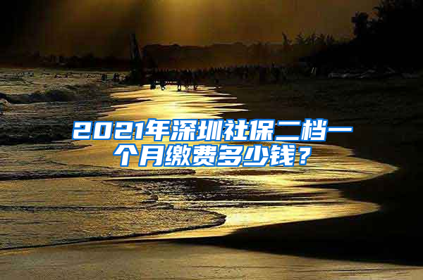 2021年深圳社保二檔一個月繳費多少錢？