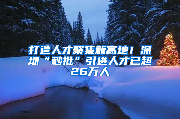 打造人才聚集新高地！深圳“秒批”引進人才已超26萬人