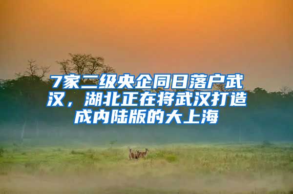 7家二級央企同日落戶武漢，湖北正在將武漢打造成內(nèi)陸版的大上海