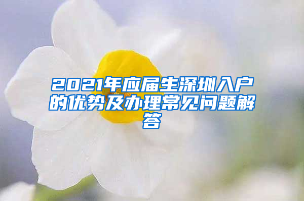 2021年應(yīng)屆生深圳入戶的優(yōu)勢(shì)及辦理常見問題解答