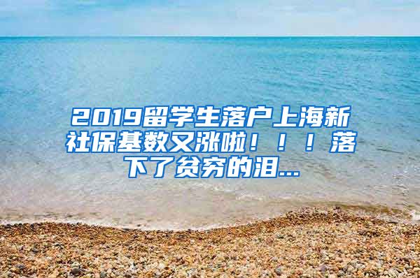 2019留學生落戶上海新社?；鶖?shù)又漲啦?。?！落下了貧窮的淚...