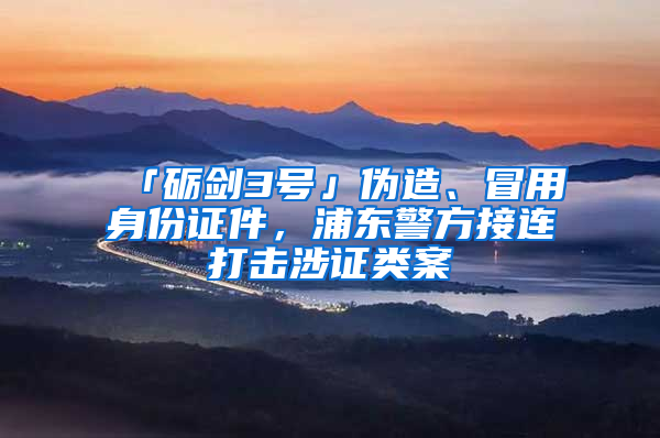 「礪劍3號(hào)」偽造、冒用身份證件，浦東警方接連打擊涉證類案