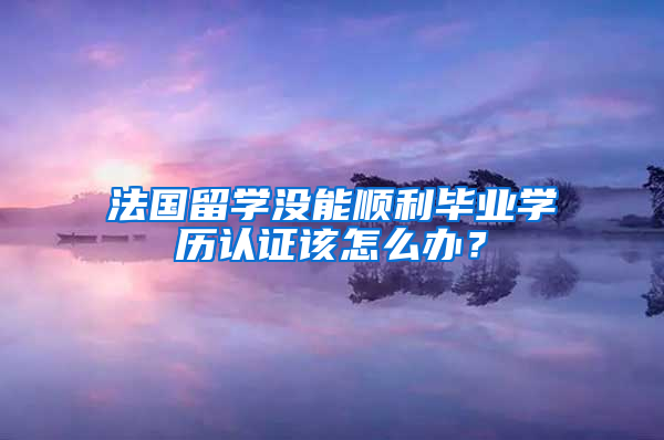 法國留學(xué)沒能順利畢業(yè)學(xué)歷認(rèn)證該怎么辦？