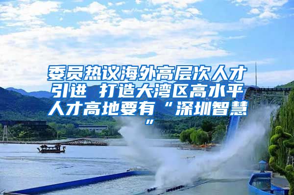 委員熱議海外高層次人才引進(jìn) 打造大灣區(qū)高水平人才高地要有“深圳智慧”