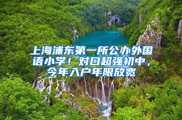 上海浦東第一所公辦外國(guó)語(yǔ)小學(xué)！對(duì)口超強(qiáng)初中，今年入戶年限放寬