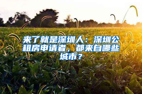 來(lái)了就是深圳人：深圳公租房申請(qǐng)者，都來(lái)自哪些城市？