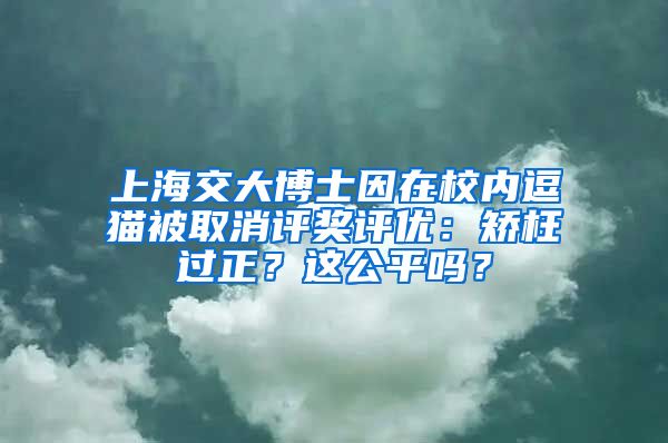 上海交大博士因在校內(nèi)逗貓被取消評獎評優(yōu)：矯枉過正？這公平嗎？