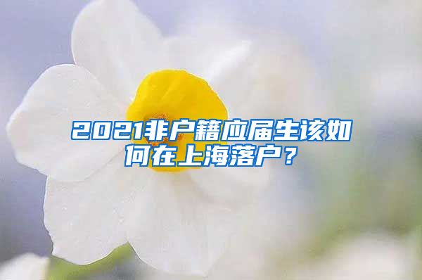 2021非戶籍應屆生該如何在上海落戶？