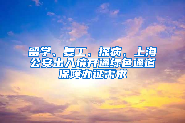 留學(xué)、復(fù)工、探病，上海公安出入境開通綠色通道保障辦證需求