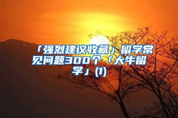 「強烈建議收藏」留學(xué)常見問題300個「大牛留學(xué)」(1)