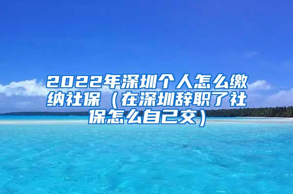 2022年深圳個人怎么繳納社保（在深圳辭職了社保怎么自己交）